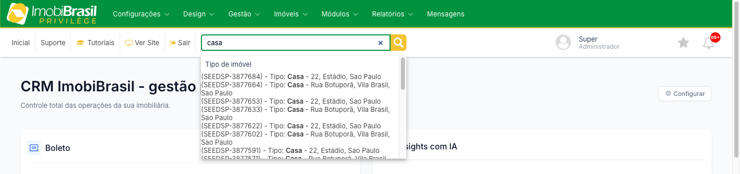 Barra de busca no topo do painel, com a lista de resultados agrupados por tipo