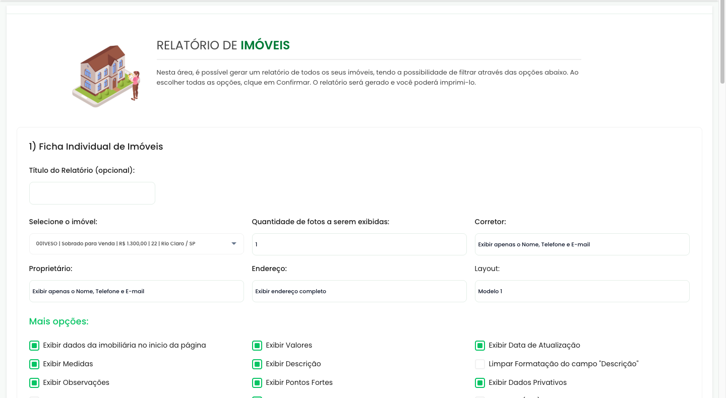 Tela Relatório de Imóveis, seção Ficha Individual de Imóveis, com a seleção do imóvel e as opções de exibição